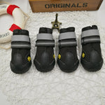 Pet shoes wear dog shoes