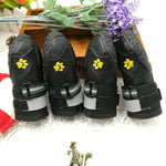 Pet shoes wear dog shoes