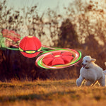 4 Pack Flying Saucer Ball Electric Colorful Flying Toy UFO Ball With LED Lights For Pet Children Outdoor Toy