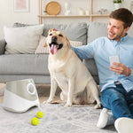 Only Supports Self Pickup  Automatic Dog Ball Launcher, Indoor Outdoor Interactive Dog Toy With Three Launch Ranges, Includes 6 Mini Tennis Balls And A Data Cable