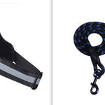 Fashion Simple Pet Leash Chest Strap Set