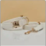 Multiple Colour Velvet Personalise Dog Collar Leash Set With Bow