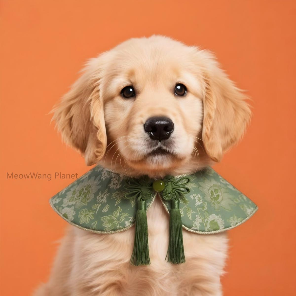 Dog Cat Collar Dog Cat Bandana Handcrafted Luxury Pet Shoulder Cape Artisan Cloud Collar For Cats Small Dogs Designer Neck Wrap Bib Scarf The Cloud Collar Handcrafted Designer Cape For Cats Small Dogs