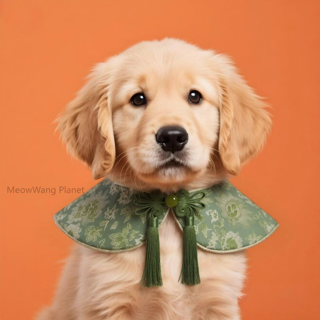 Dog Cat Collar Dog Cat Bandana Handcrafted Luxury Pet Shoulder Cape Artisan Cloud Collar For Cats Small Dogs Designer Neck Wrap Bib Scarf The Cloud Collar Handcrafted Designer Cape For Cats Small Dogs