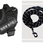 Fashion Simple Pet Leash Chest Strap Set