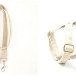 Dog collar traction rope