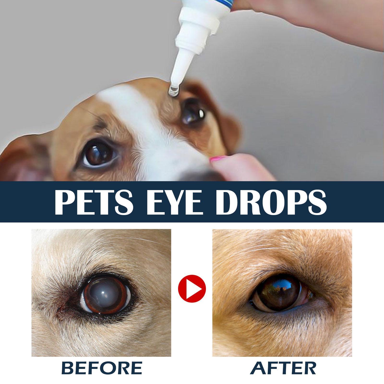 Igbang Pet Eye Drops For Cats And Dogs To Remove Tear Marks, Relieve Itchy Eyes And Clean