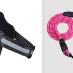 Fashion Simple Pet Leash Chest Strap Set