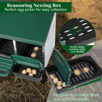 3-compartment Chicken Feeding Trough